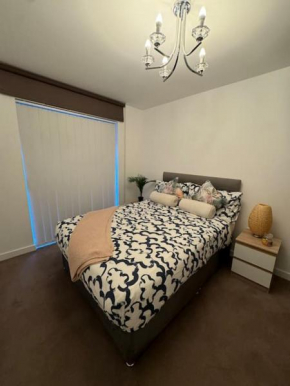 Dream Apartment